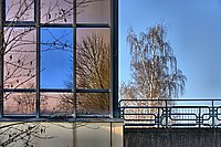 Bernhard Saalfeld - Das blaue Fenster
